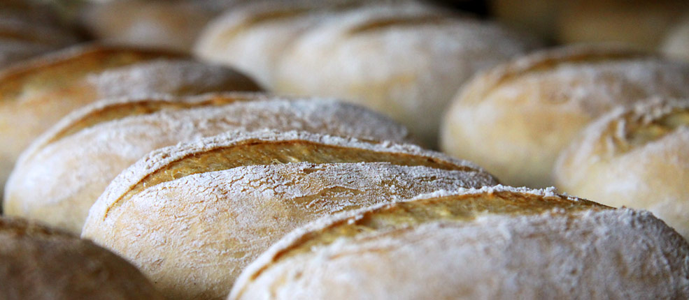 täglich frische Brötchen und Brote